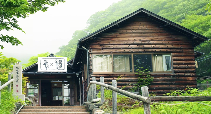 tojiba (29)